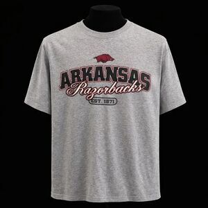 VTG Footlocker Arkansas Razorbacks Gray Foot Locker Graphic Tee Shirt XXL